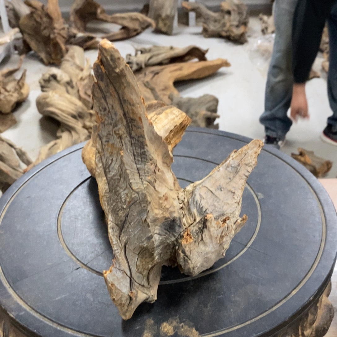 海***3柏木（崖柏）太行崖柏陈化香料