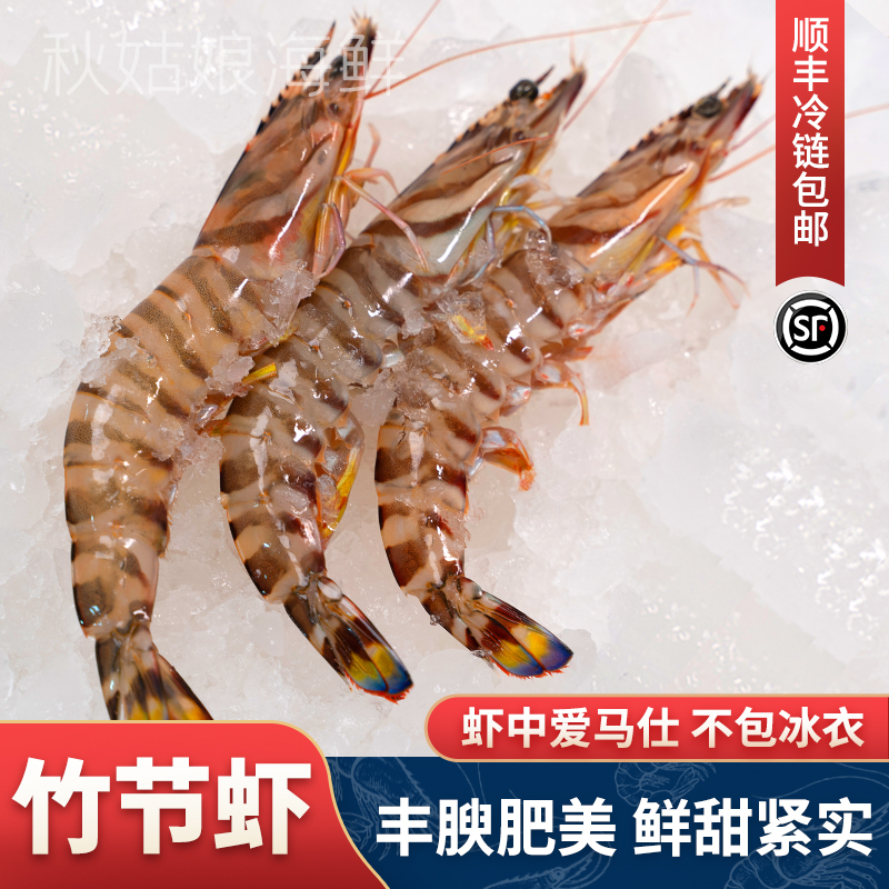 【特大号-竹节虾】工厂船冻九节虾斑节虾-顺丰包邮-半斤8-10只一盒
