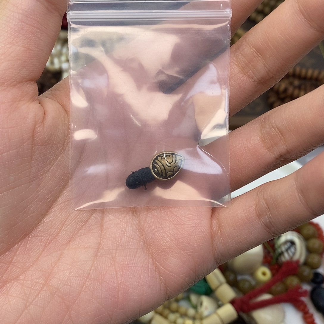 柏香籽/百香籽吊坠原****³