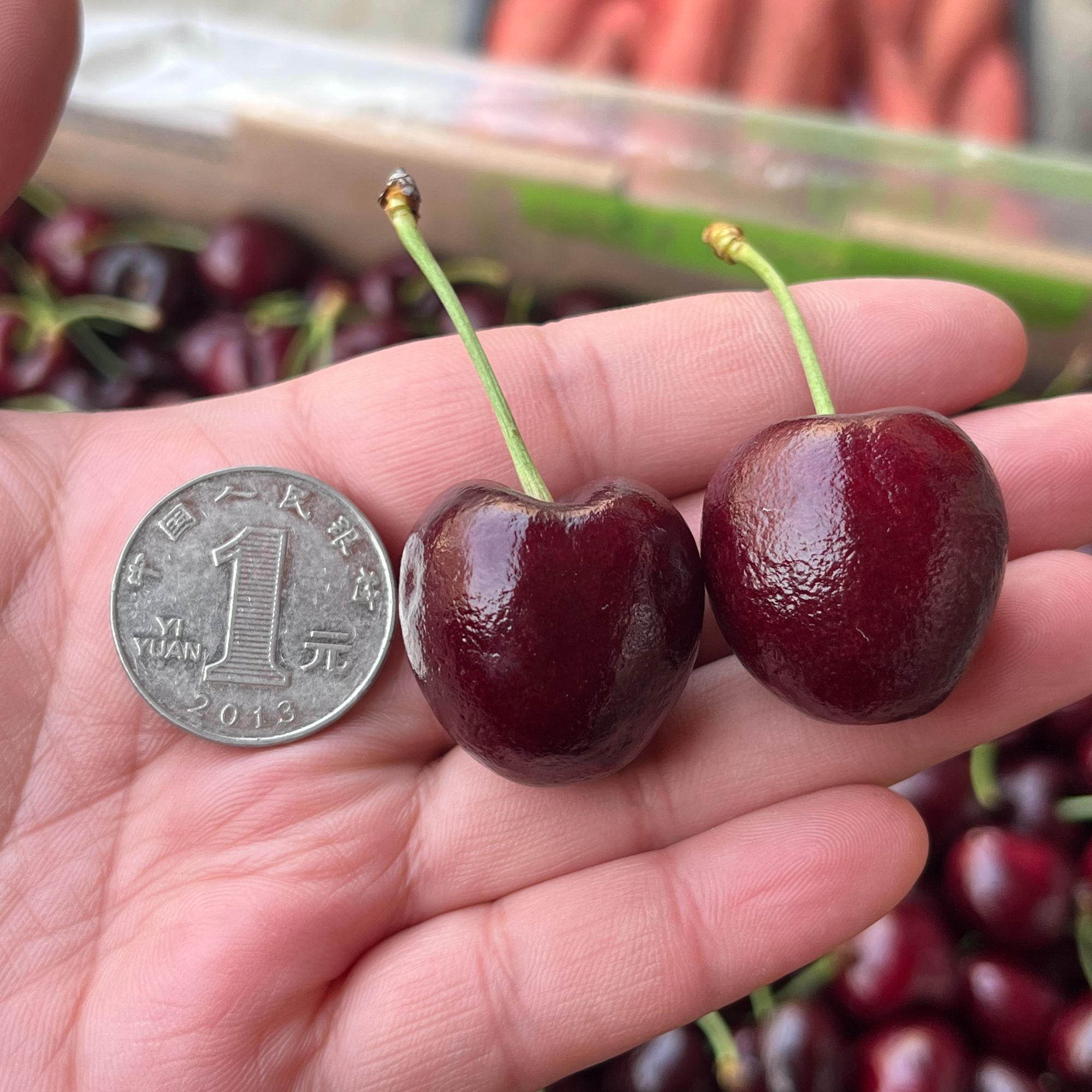 (果甄鲜） |J|空运/车厘子斤桑提娜智利