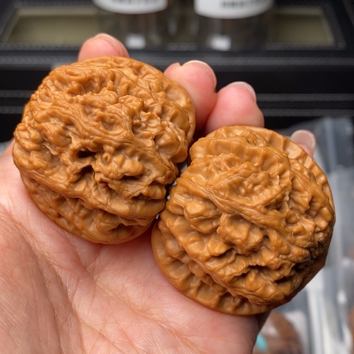 文玩核桃把件43.5粗筋