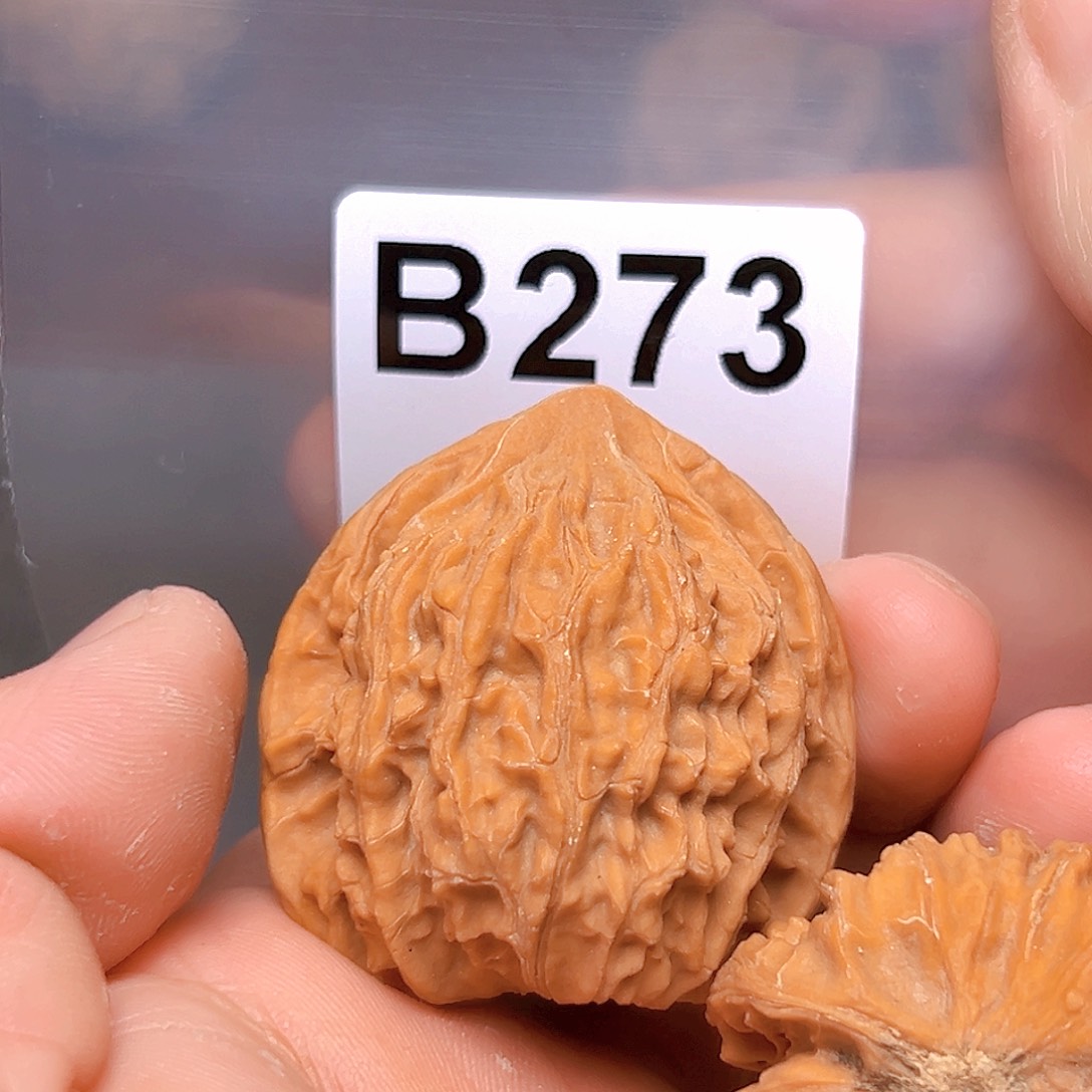 吊坠文玩核桃41御龙粗筋