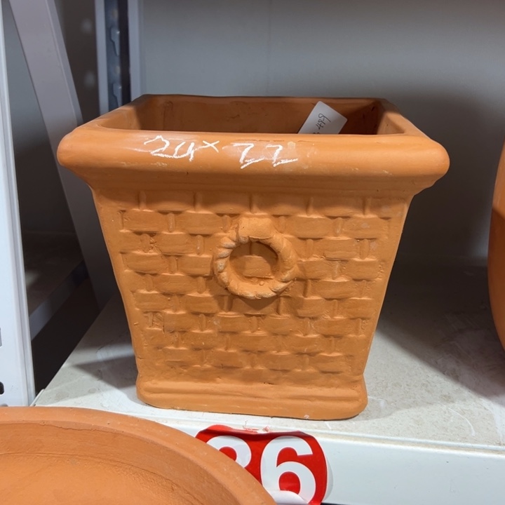 ****虾24×22 拍一发二 微瑕