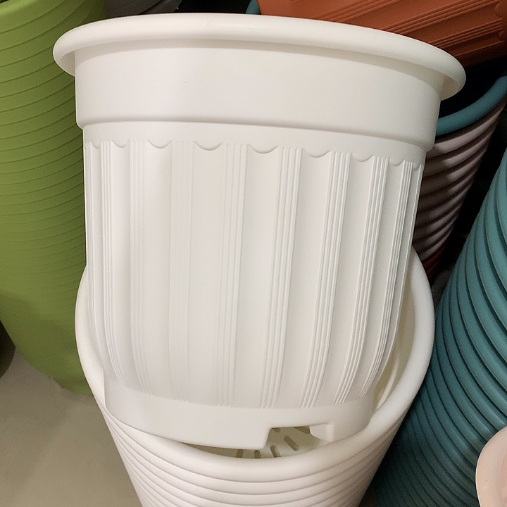 罗马口32高28白3个