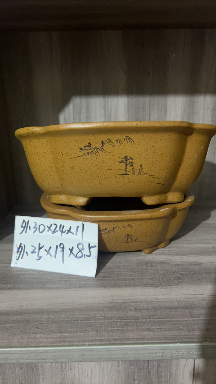 尚飞紫砂花盆直播链接