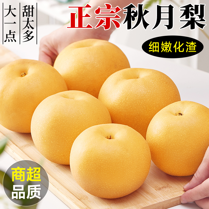 【冰糖秋月梨】正宗秋月梨冰糖大梨子3/4.5/8.5斤脆甜多汁皮薄肉厚商品图