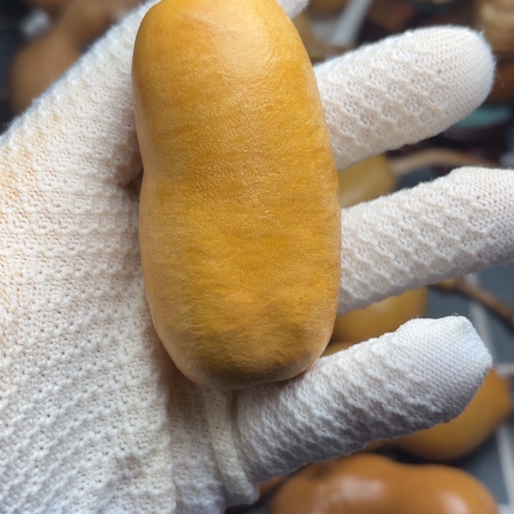 初****6666666666666666666