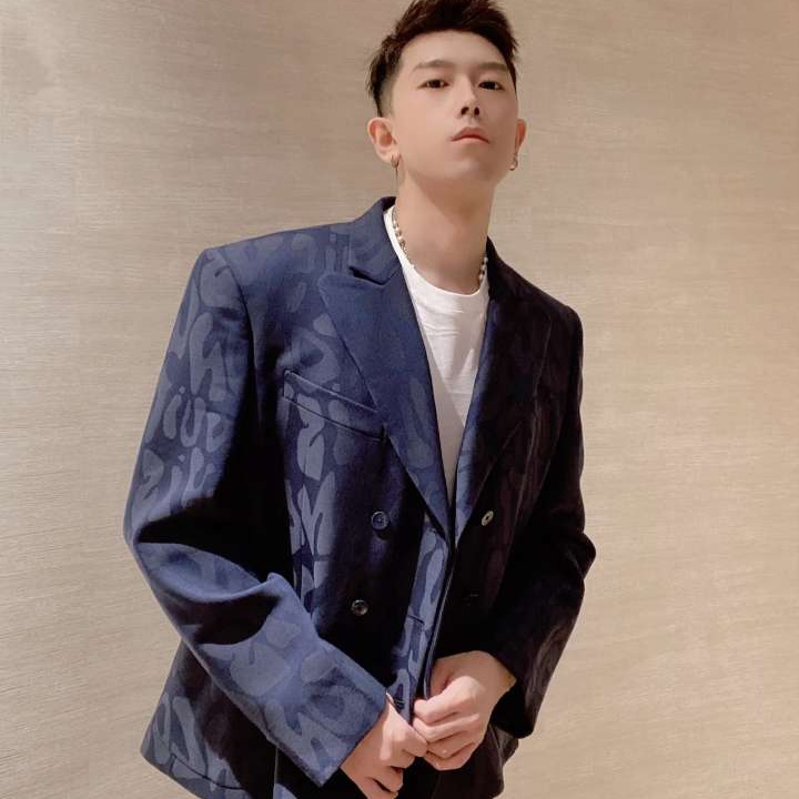 全新未使用 LouisVuitton/路易威登 LV Logo字母满印西装 50码