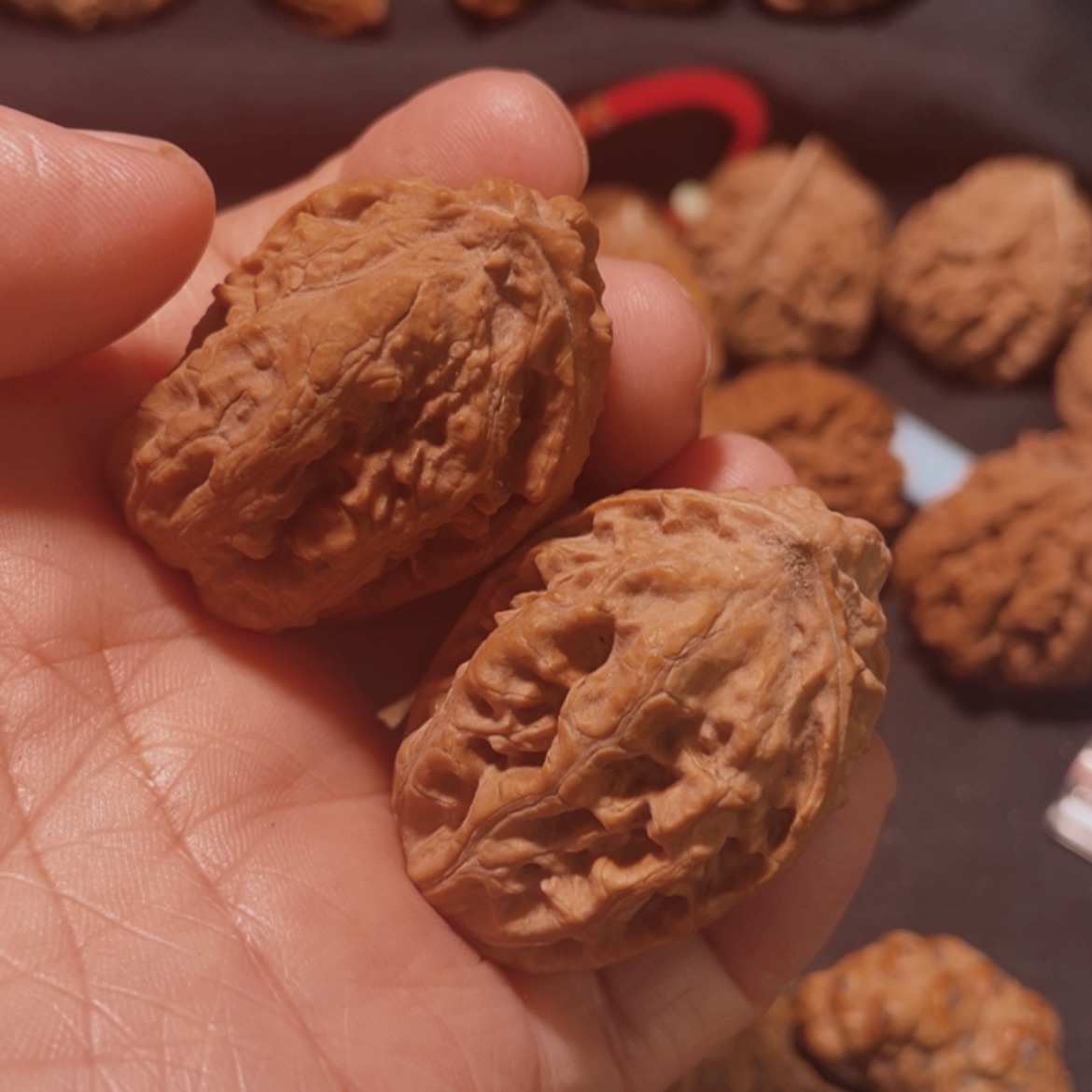【闪购商品】文玩核桃把件东北楸子41