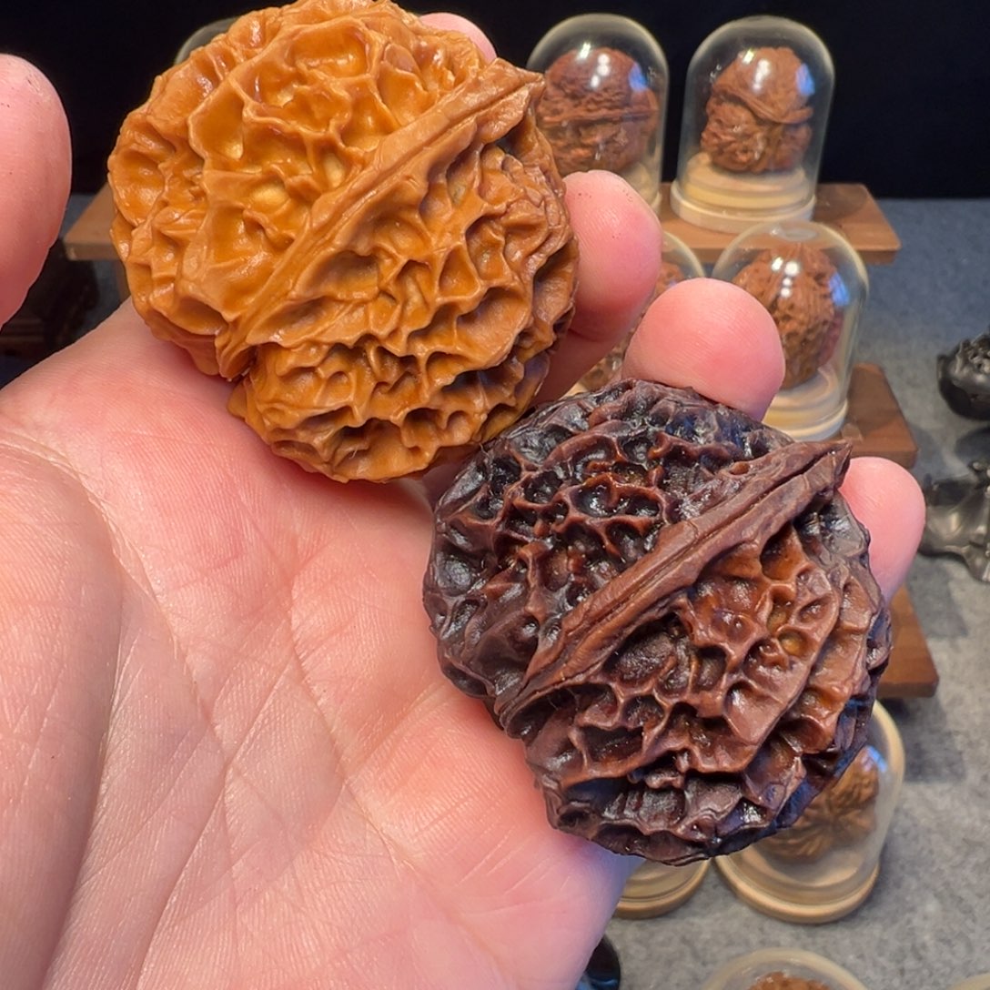 文玩核桃把件冠*凤凰牡丹