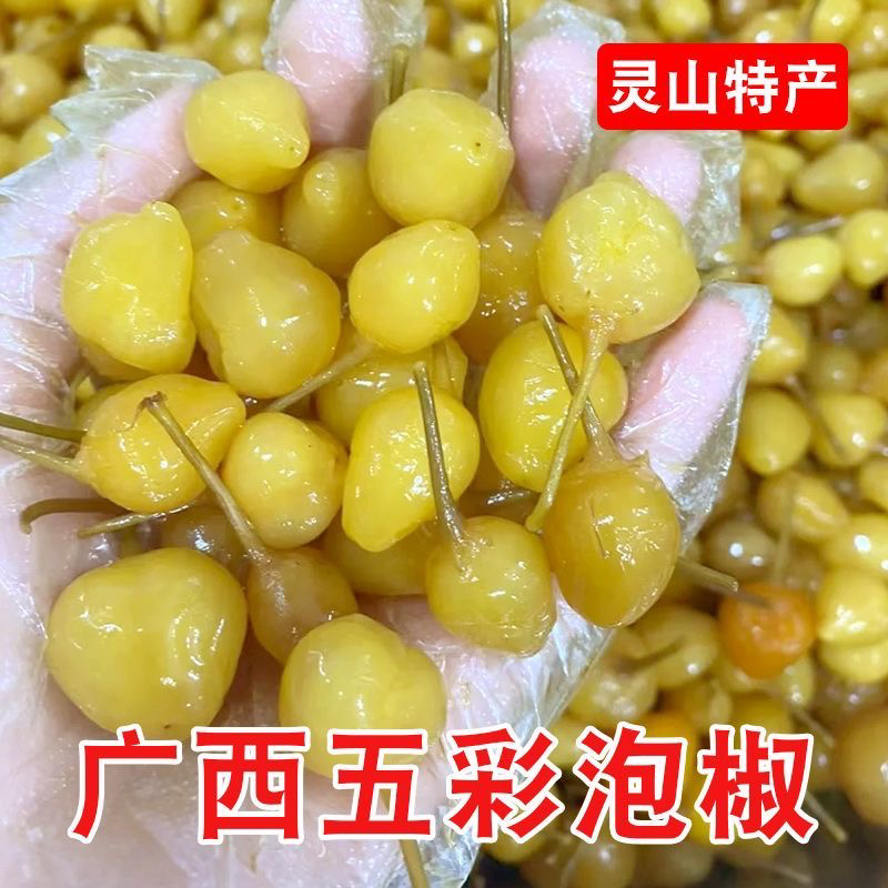 广西灵山特产五彩泡椒新鲜灯笼椒酸辣爽口开胃下饭菜七彩辣椒泡椒