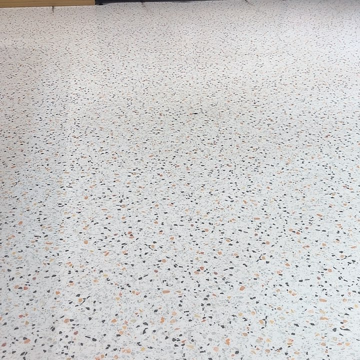 饿***啊蓝氏猎鸟乳鸽1.7公斤猫粮一包