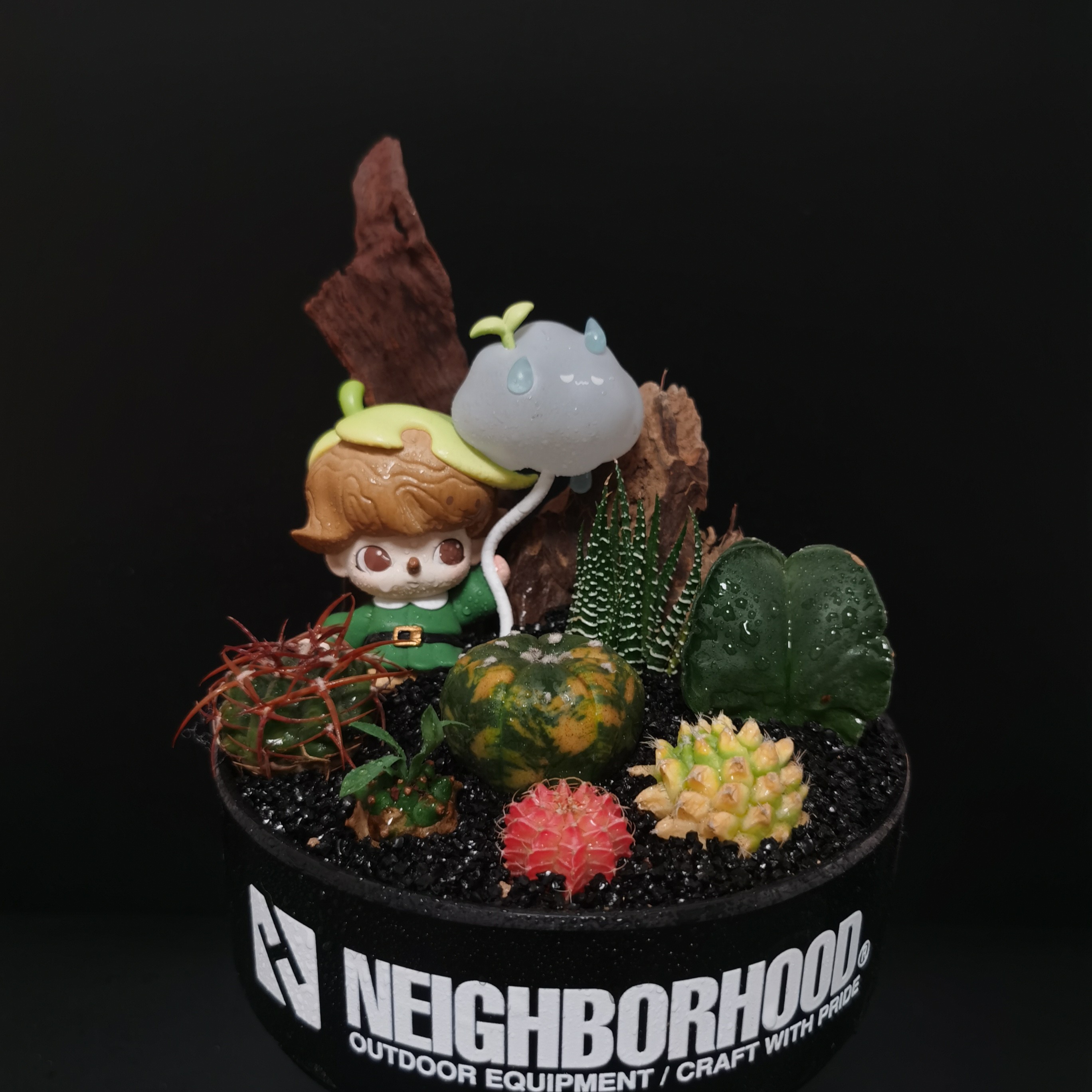 福利款黑色盆器dimoo潮流植物微景观 