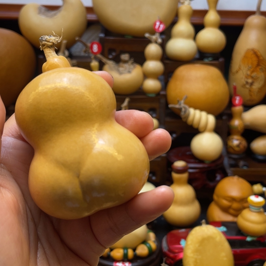 大*蓝葫芦等多种颜色的花灯点缀其间而形成