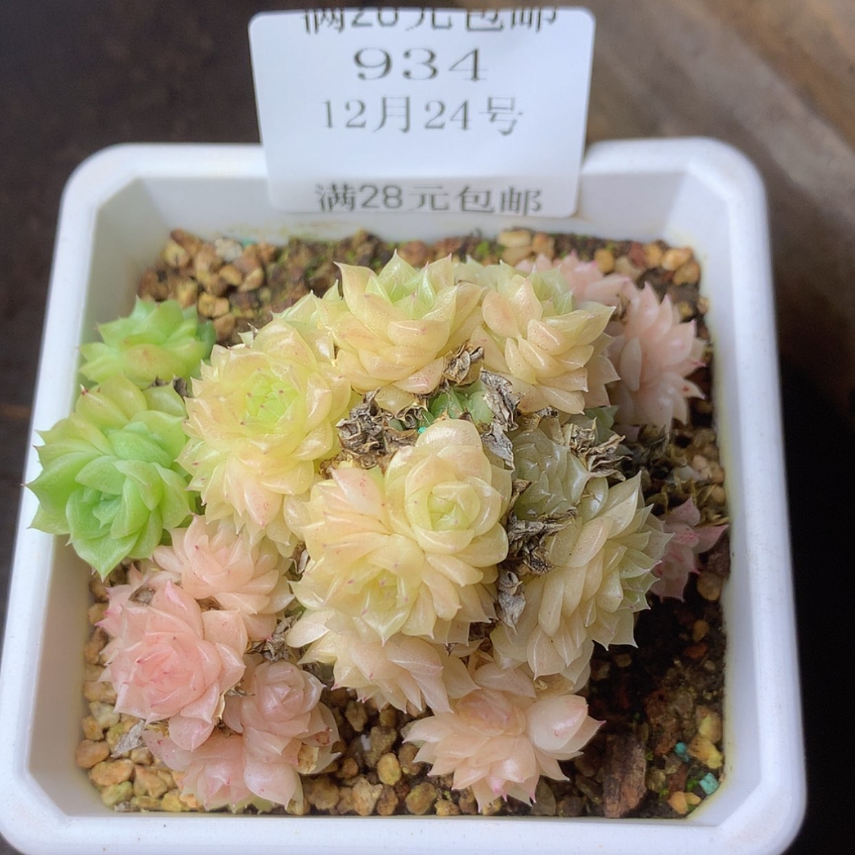 【闪购商品】云934号