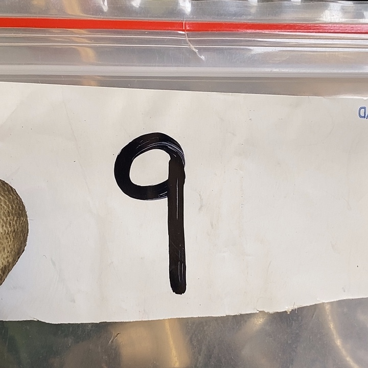 冲***冲最美古村专属链接