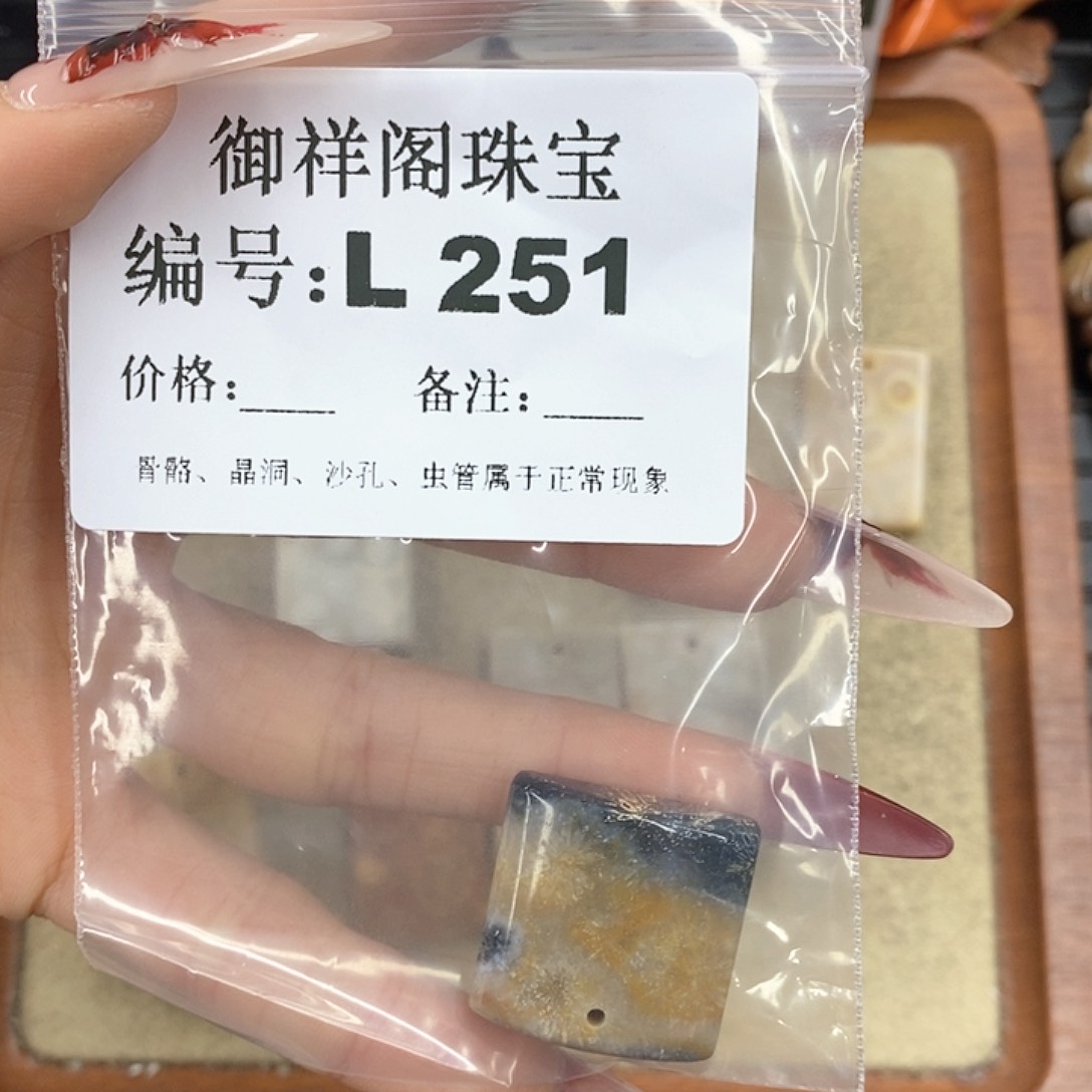 硅化珊瑚（珊瑚玉）颈饰未镶嵌闪****?