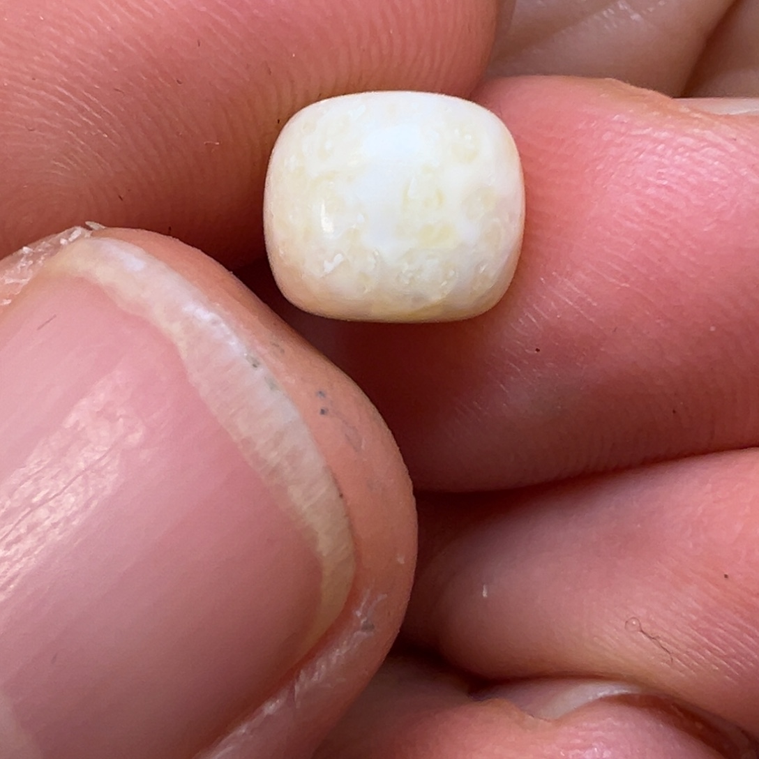 无***东树脂制品海胖满脑8老型单珠