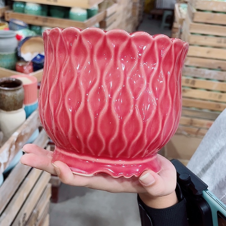 花盆有孔！凑满10米包由！