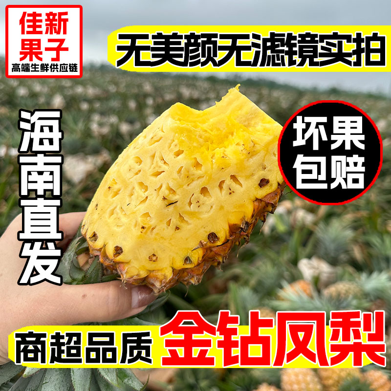 正宗海南金钻凤梨新鲜热带水果香甜可口海南直发美味鲜果削皮食用