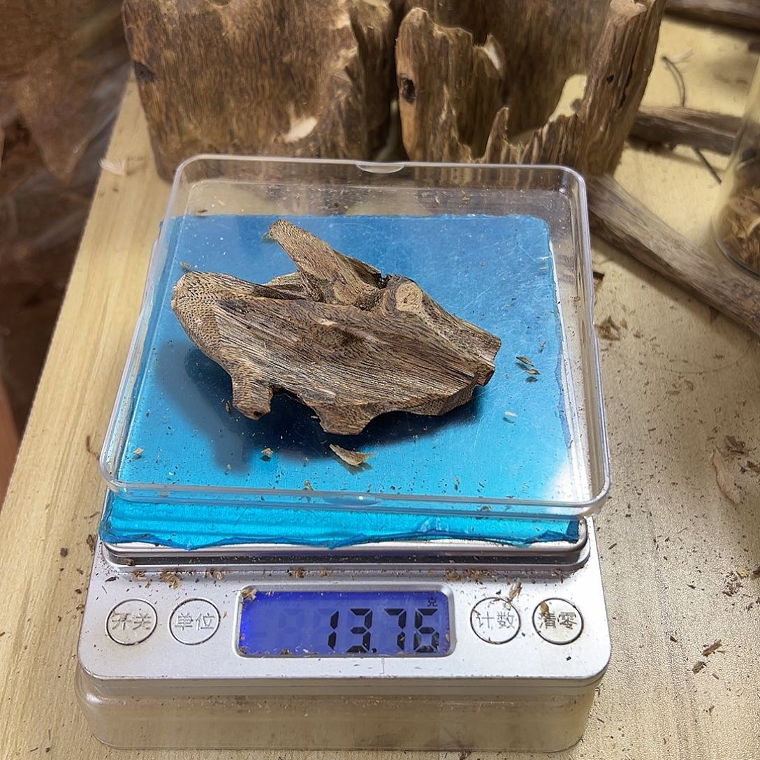 香料绿奇楠虫漏13克白棋