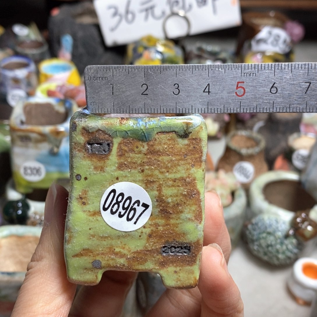 拍3送一个小礼物