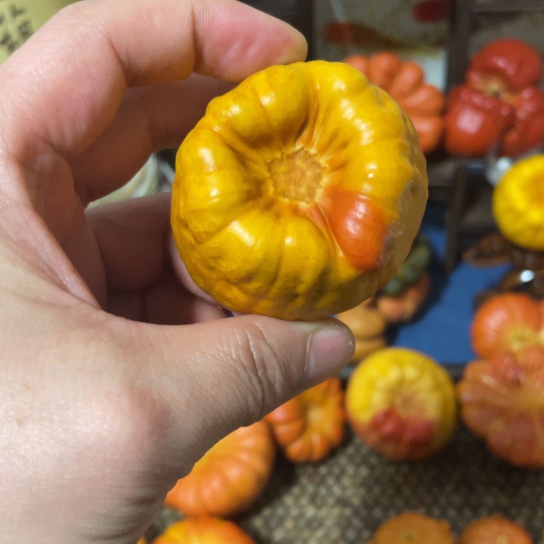 555555555555555555555