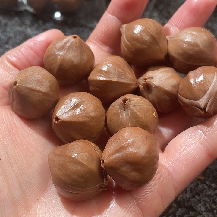 老***)吊坠橄榄核2.1✖️2.4