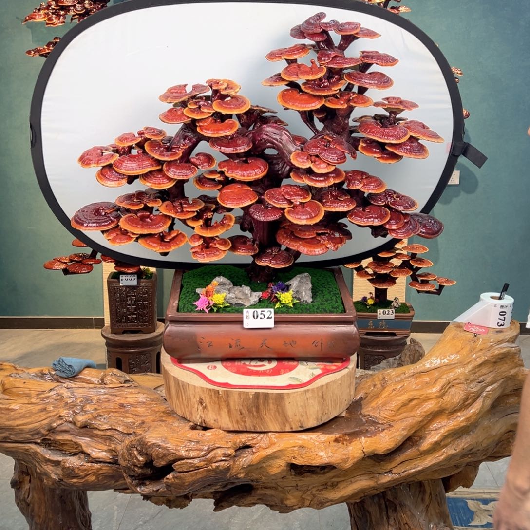 无花朵88888888888888