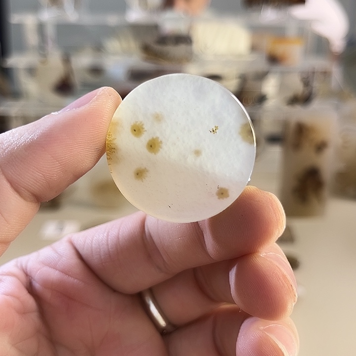 玛瑙/玉髓吊坠(不含链)未镶嵌