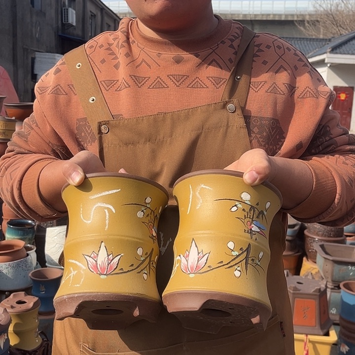 紫砂紫砂花盆盆栽