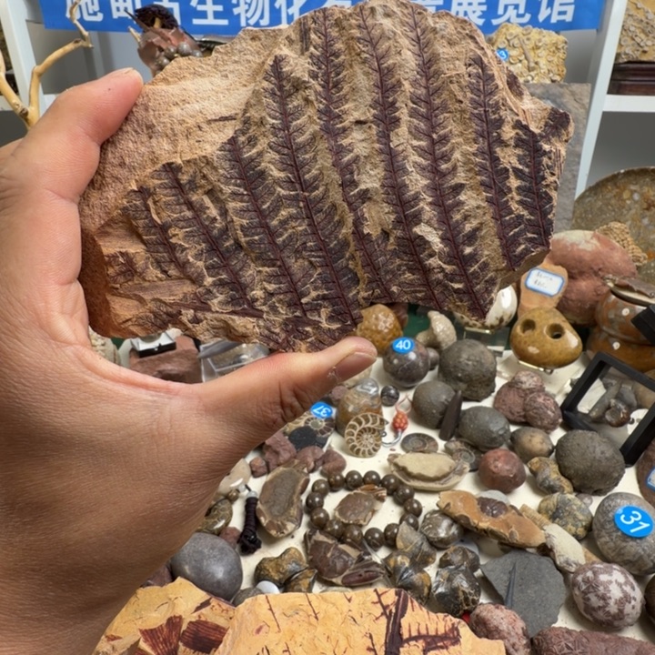 玉家居摆件家居摆件
