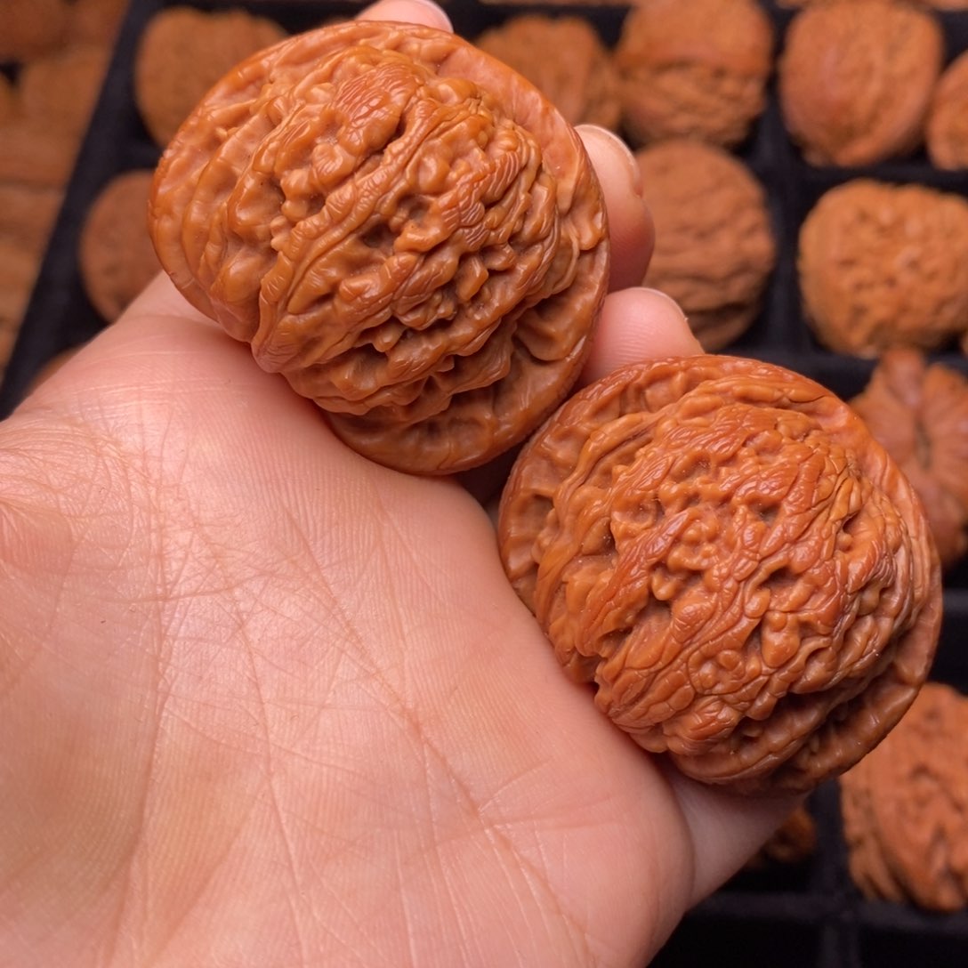 文玩核桃把件秦岭野生核桃