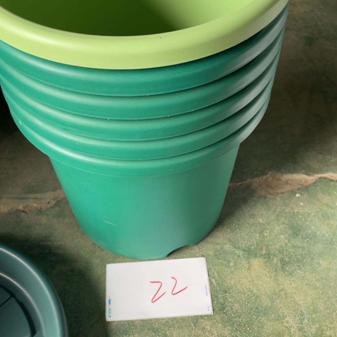 编号是22号的22号和