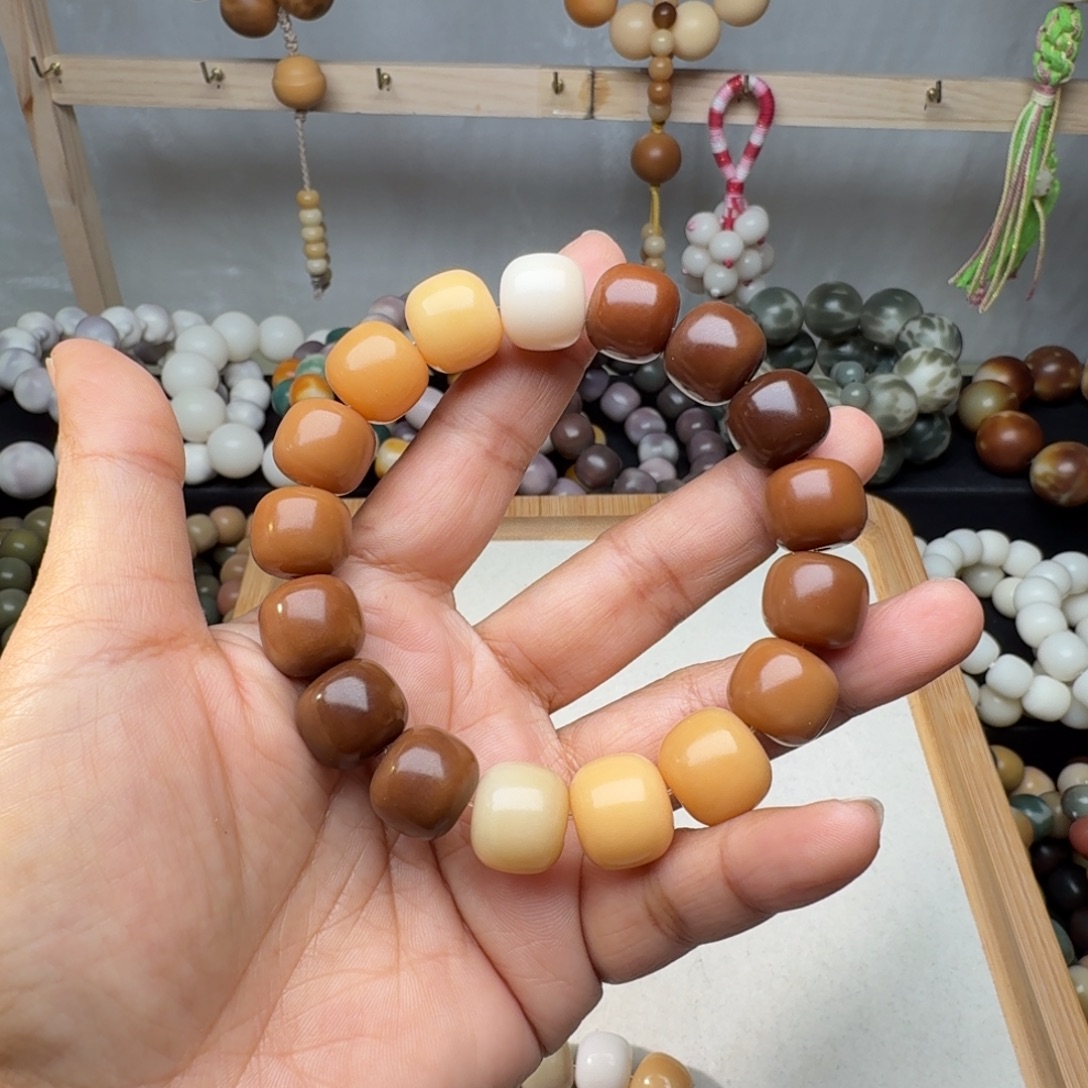 清***事手串菩提根/象牙果卡14桶