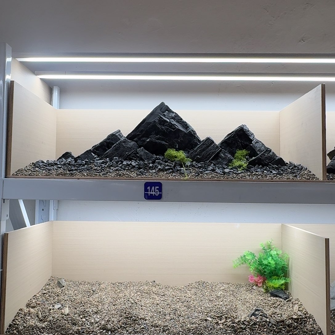 145造景送底沙50斤白色底沙3斤