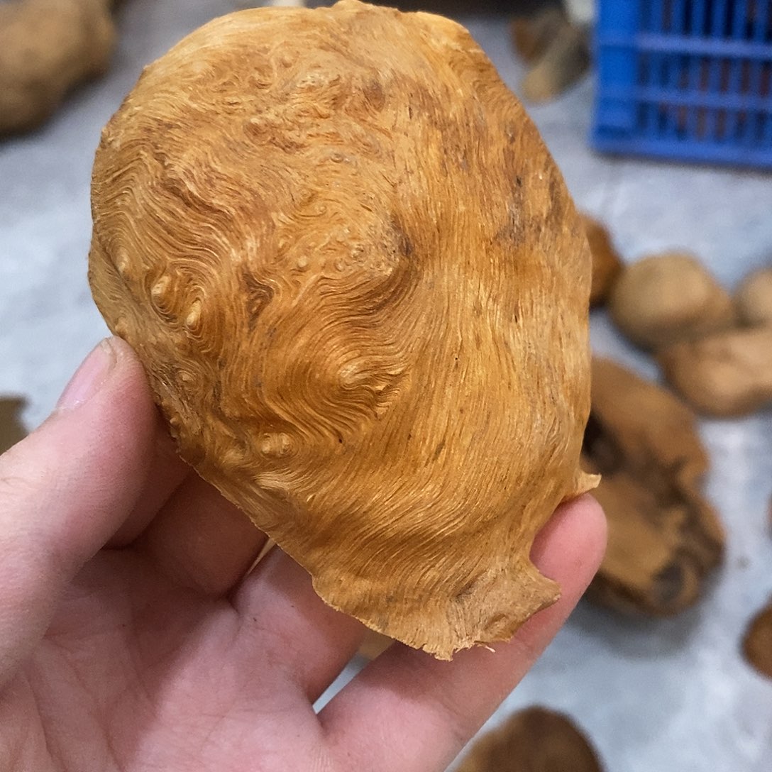 杀***狼荔枝木荔枝木原料