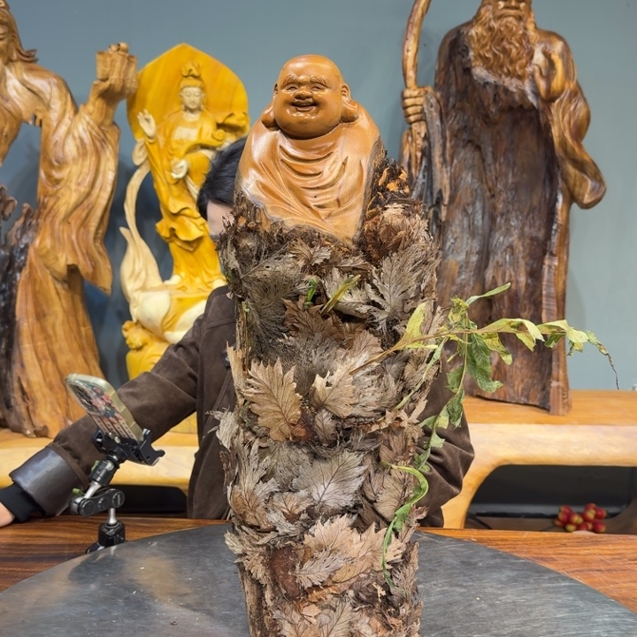 牡***间香樟木长88888888888888