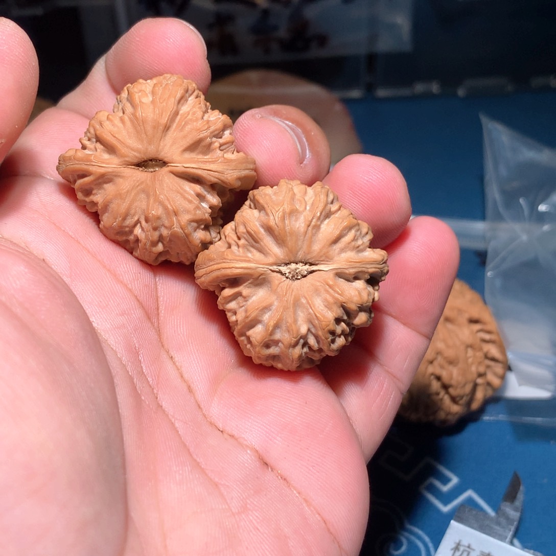 文玩核桃吊坠h***w白狮子 a31