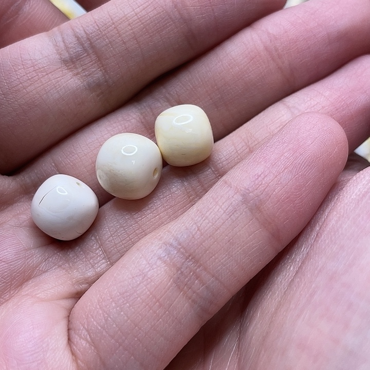 C***n琥珀未镶嵌裸石微瑕