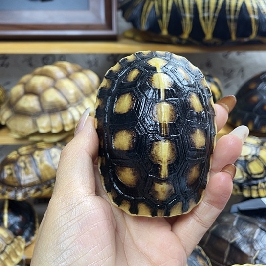 端景台紫檀木类记得给惠风和畅非公经济