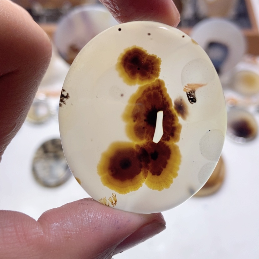 【闪购商品】玛瑙/玉髓颈饰未镶嵌