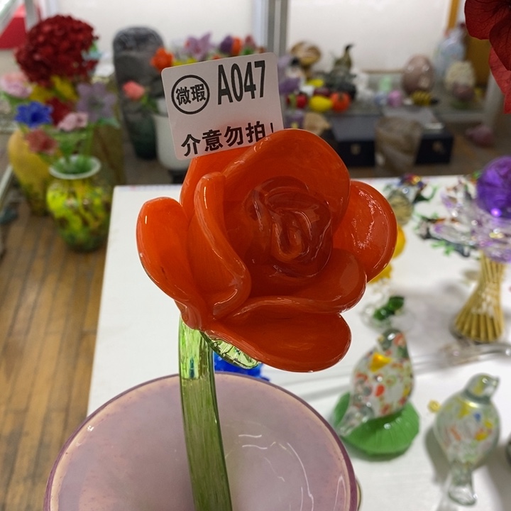 玫瑰花高45厘米宽12