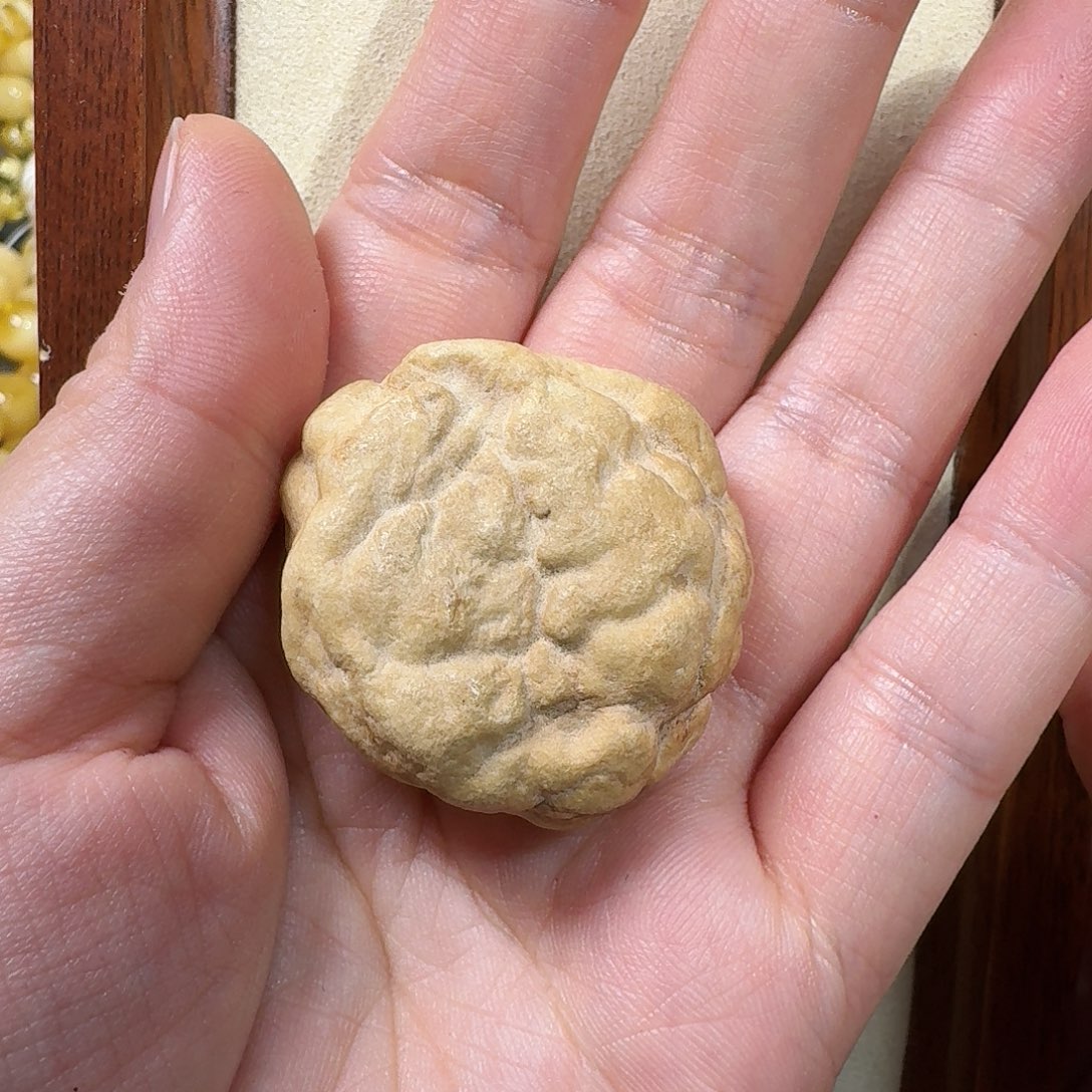 琥珀未镶嵌颈饰清水飘白蜜蜡脑纹皮海漂9.7g