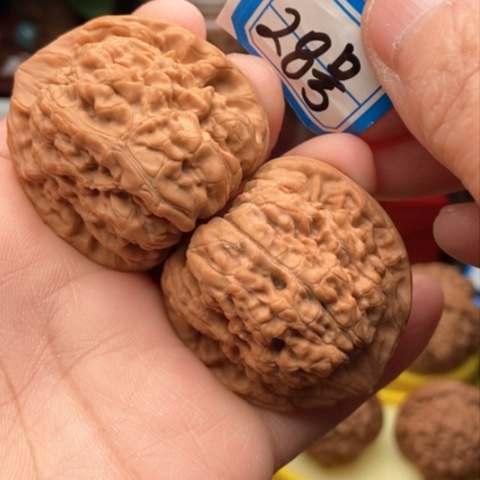 文玩核桃吊坠官帽41全品