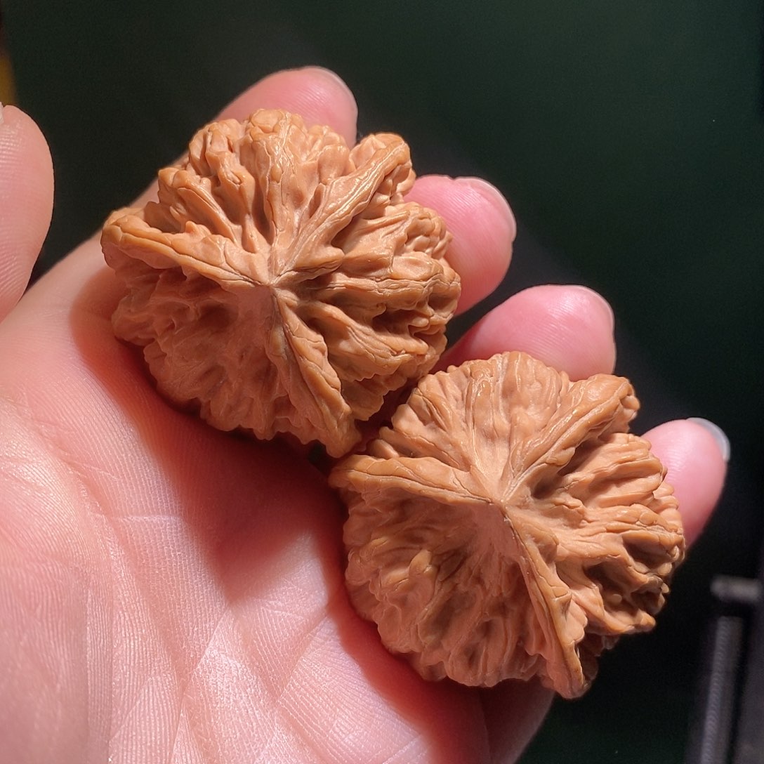 文玩核桃把件44秦岭狮子头三棱全品