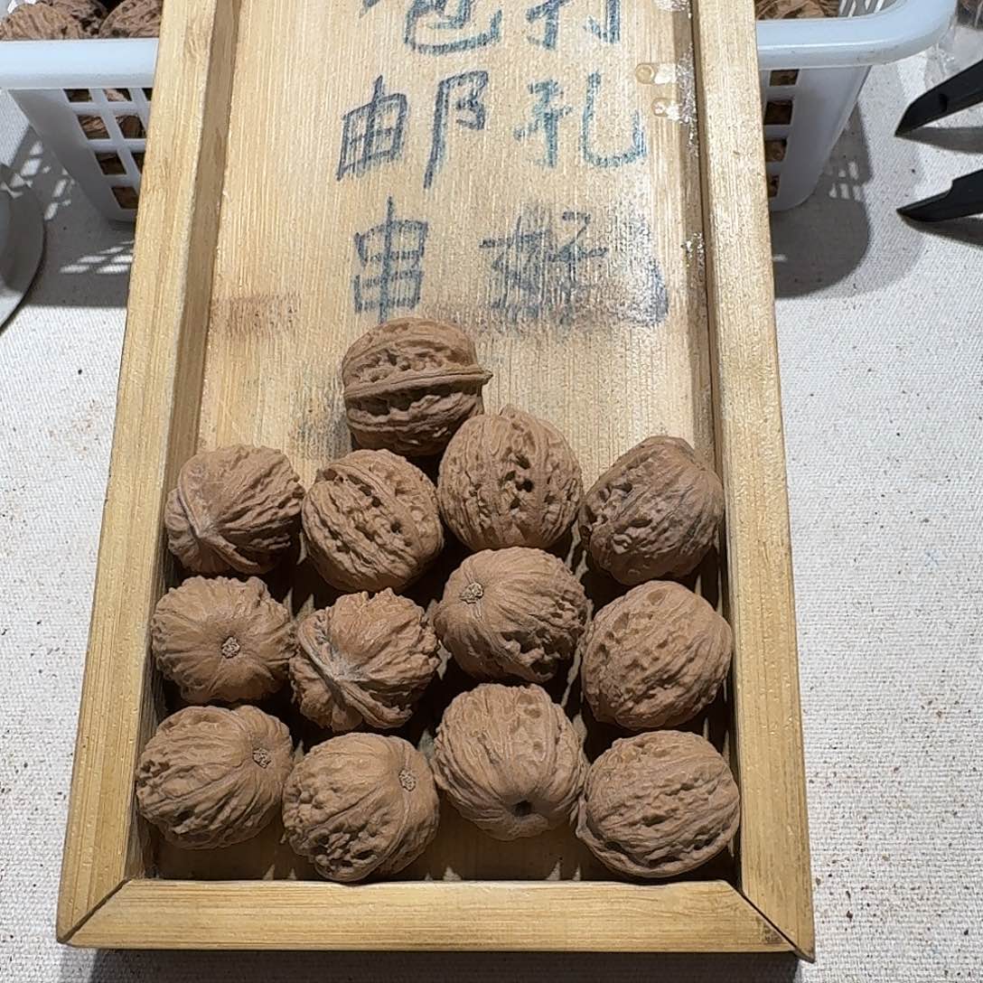 核桃手串/手链12号边22肚24高23