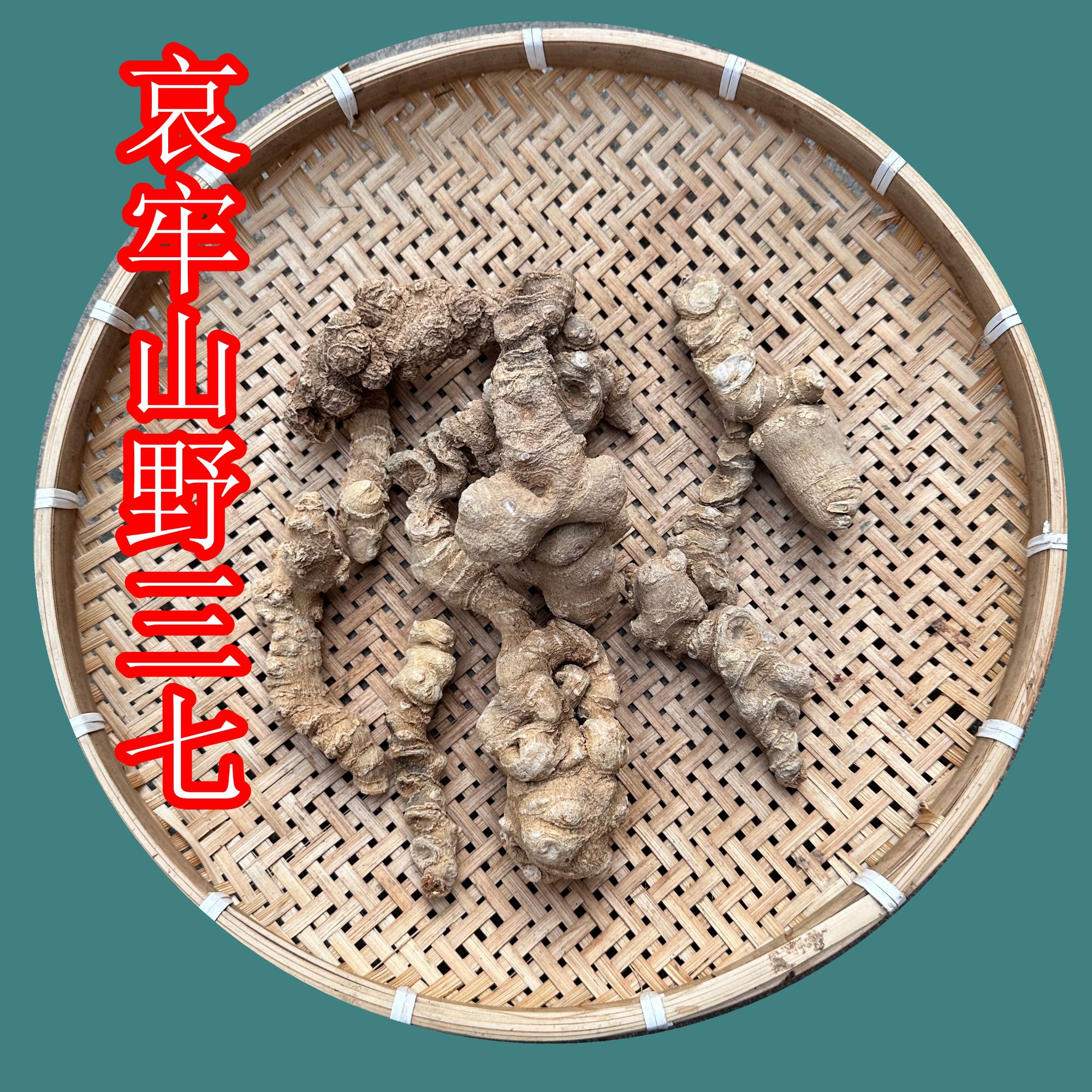 云南哀牢山野三七官方正品精品干货中药材正品三七中药材特级野生