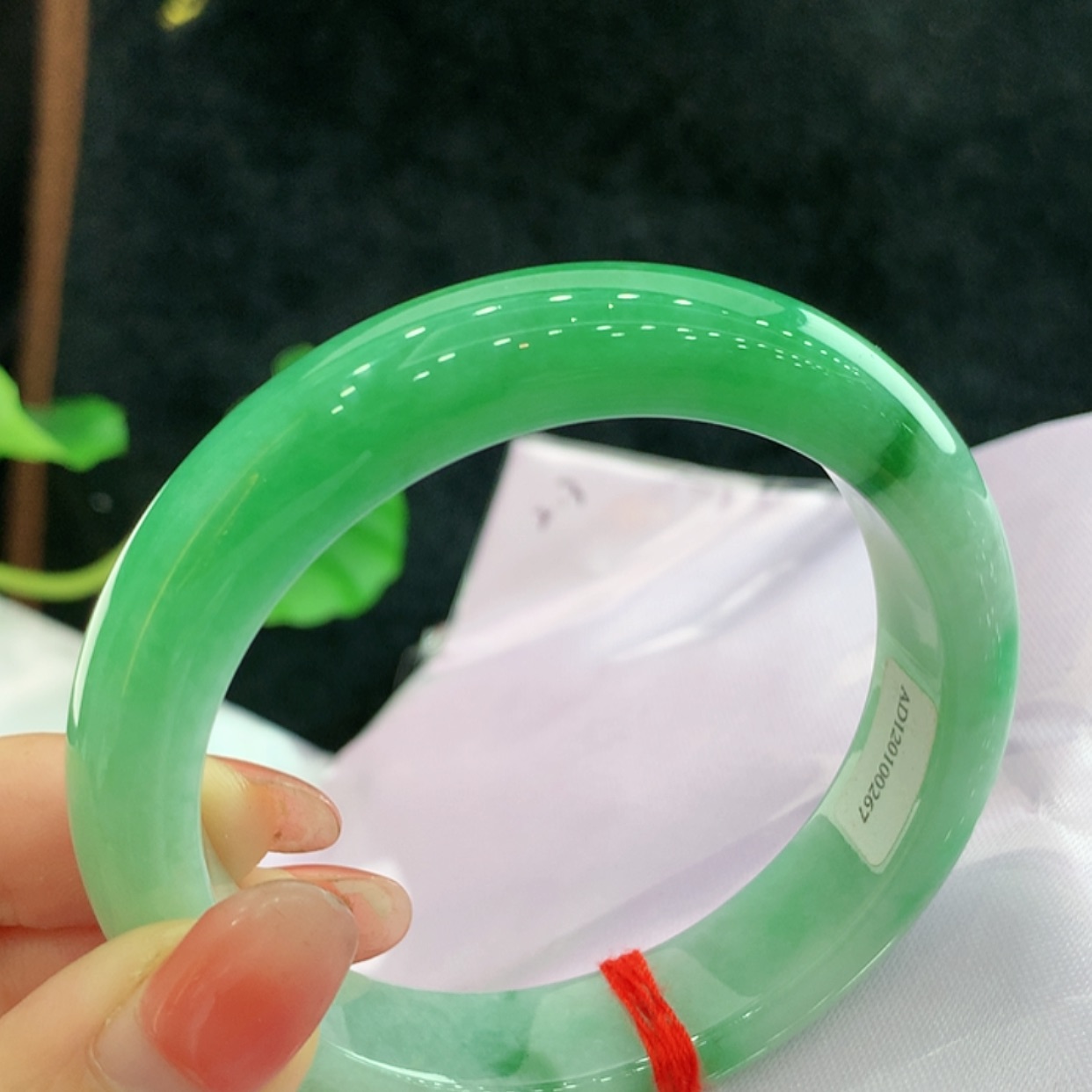 【闪购商品】翡翠手镯未镶嵌圈口55,5