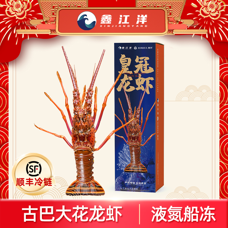 古巴大花龙虾急冻锁鲜原汁原味新鲜美味1400g起 楼下